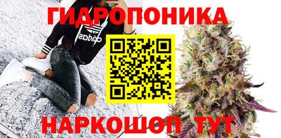 эйфоретик Бузулук