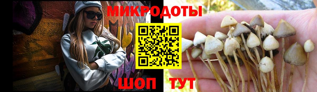 Псилоцибиновые грибы Cubensis Рубцовск